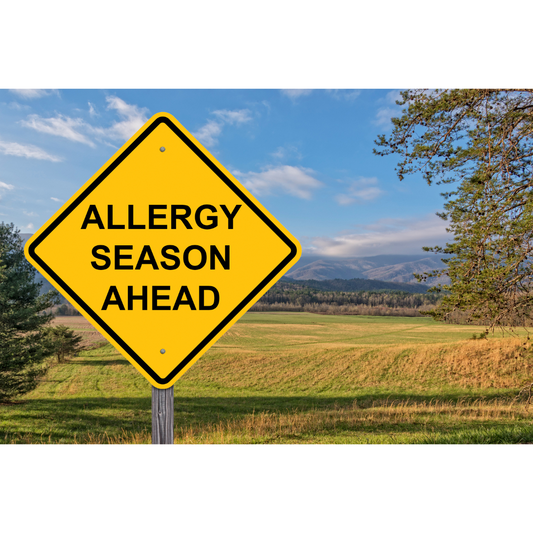 Allergy Season