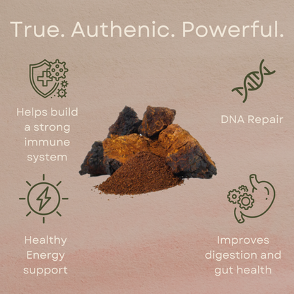 Organic Chaga Extract Powder (60 Servings)