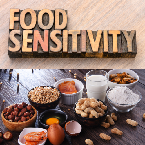 Food Sensitivity Panel